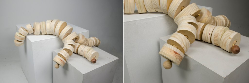 ross_detail_systems_combine